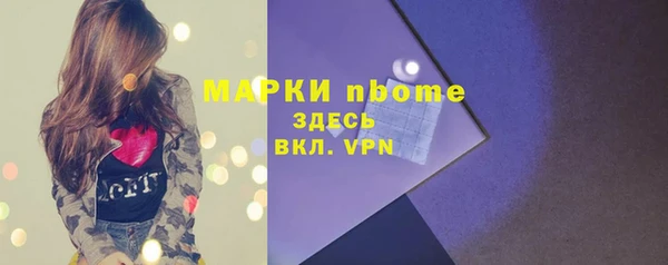 твердый Абаза