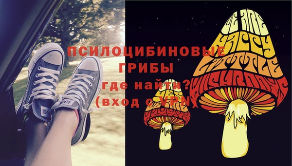 твердый Абаза