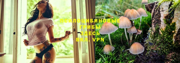 твердый Абаза