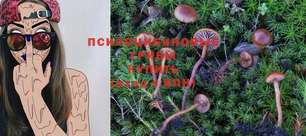 мяу мяу мука Абдулино