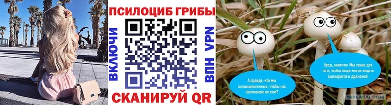 Псилоцибиновые грибы Psilocybine cubensis Никольское